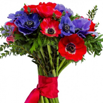 Букет из 19 анемонов